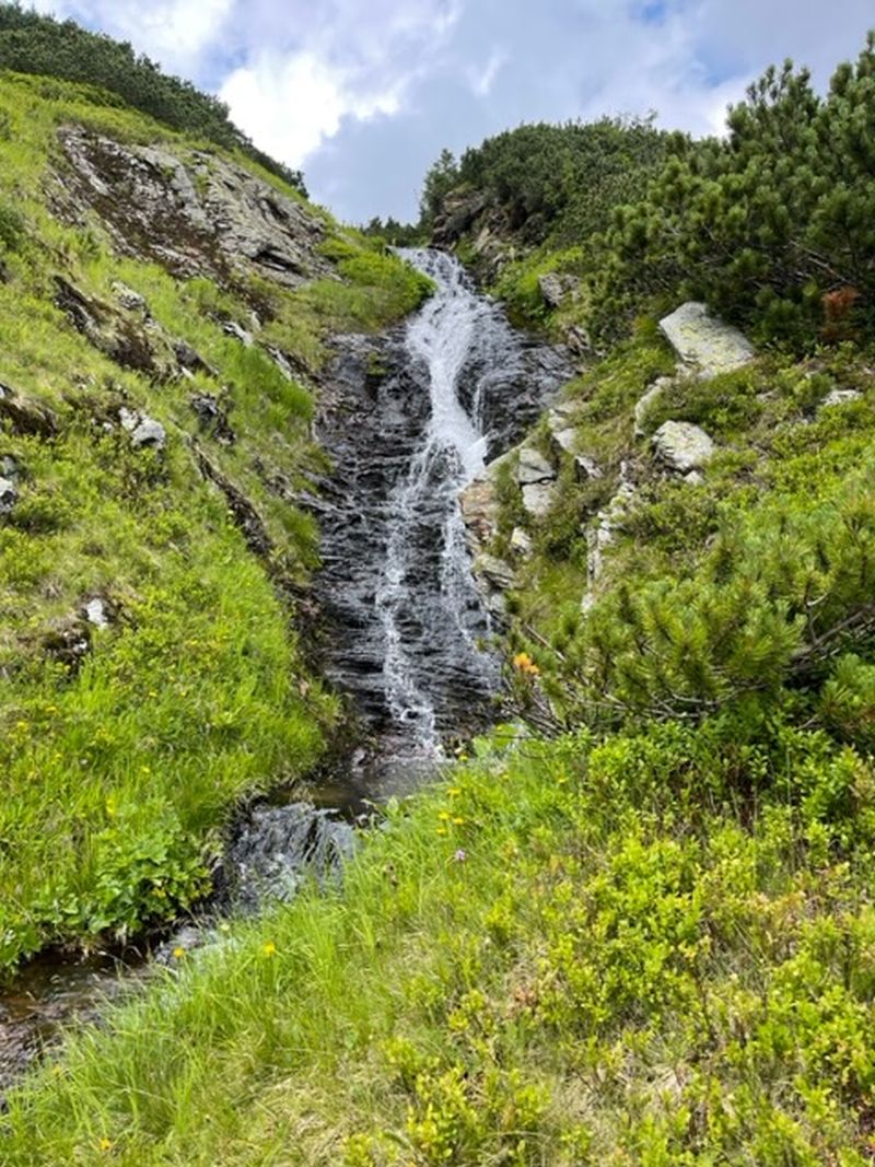 Wasserfall. https://www.alois-steiner.de/interna/image.php?menuid=20